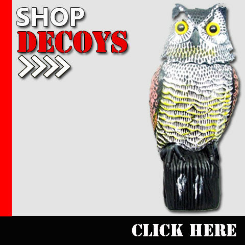 Decoys & Calls