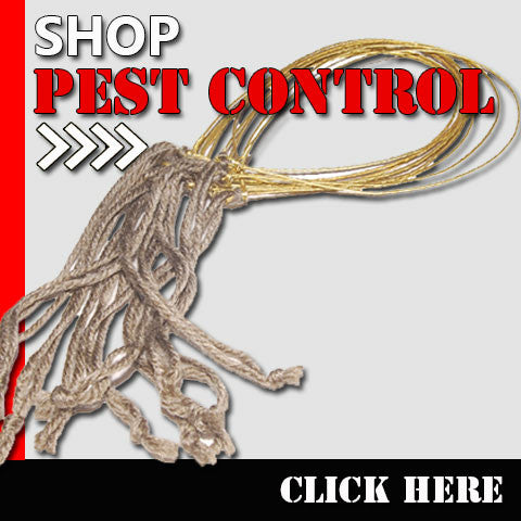 Pest Control