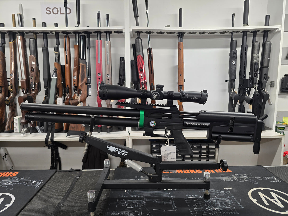 Second Hand Remington Blackbird .22