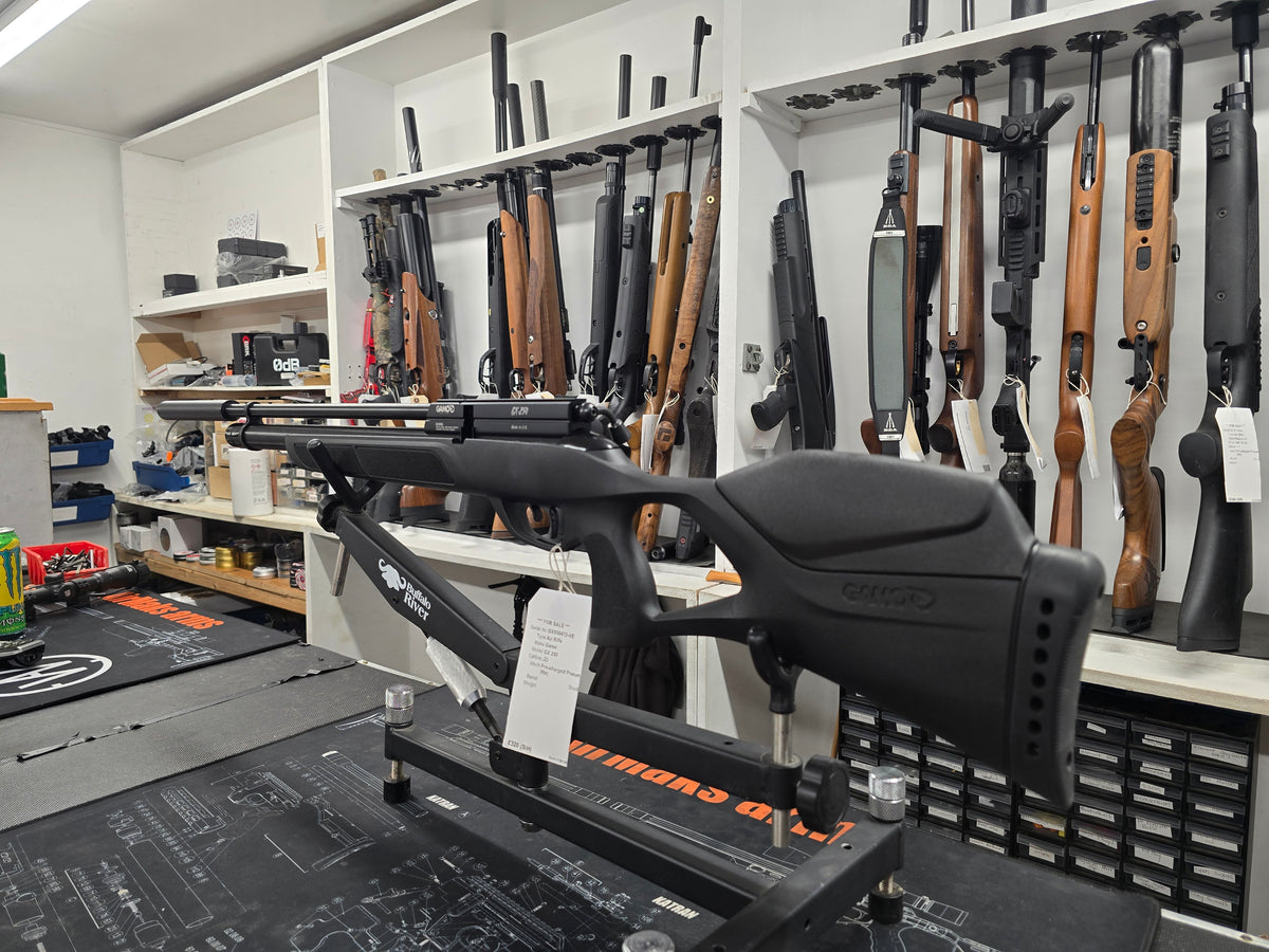 Second hand Gamo GX250 .22